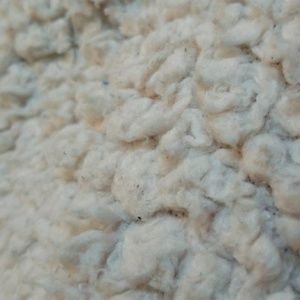 Meet your Posher, Dave